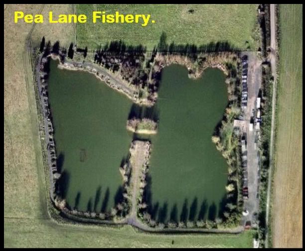 Pea Lane Fishery. Essex. My Fishing Diaries